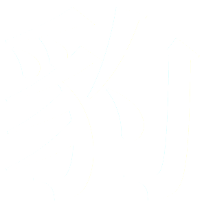shaolin-form-bao-leopard
